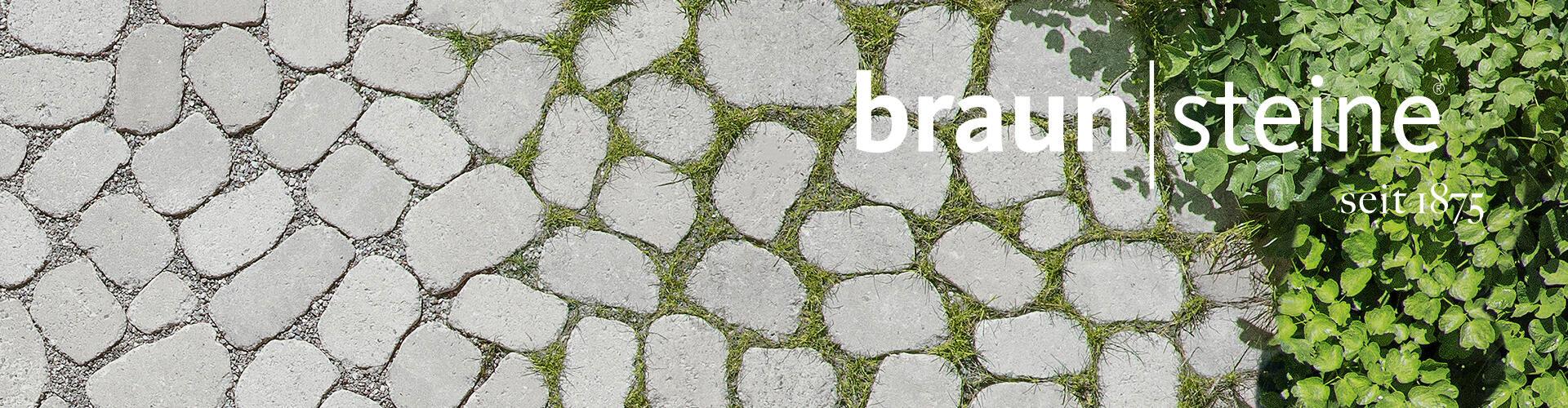 braun-steine GmbH cover
